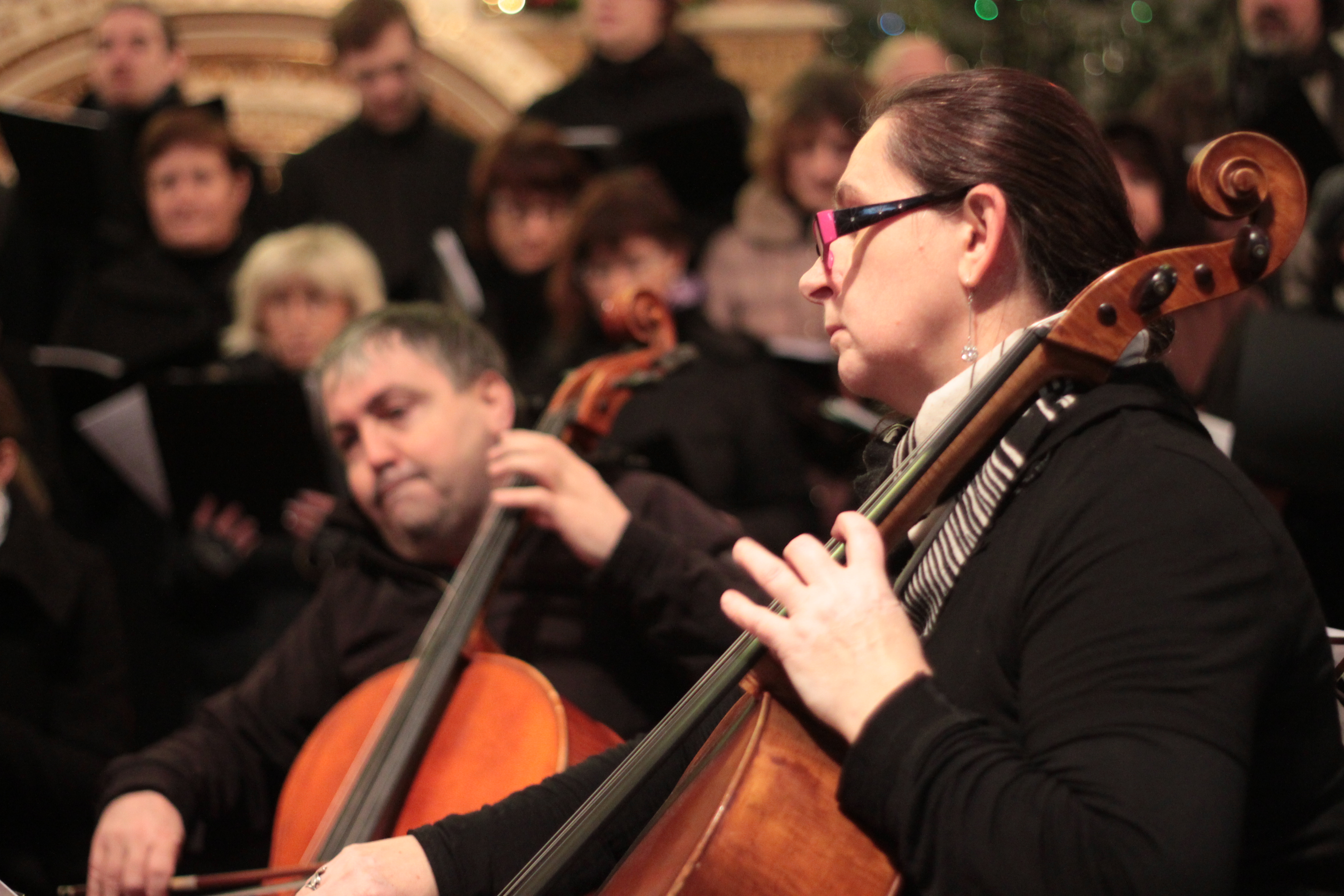 ti krli 2014